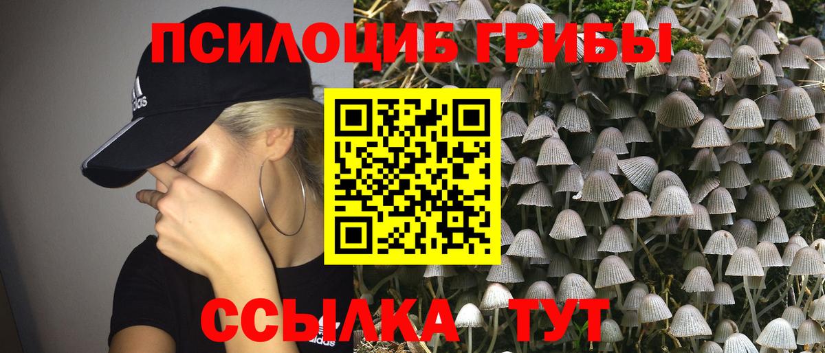 Галлюциногенные грибы ЛСД  даркнет сайт  Вход с VPN  Губаха  Галлюциногенные грибы прущие грибы 